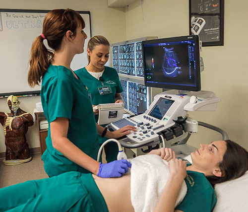 students taking an ultrasound