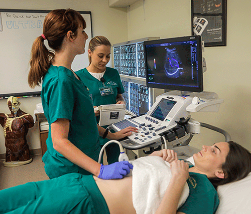 Diagnostic Medical Sonography 2023 