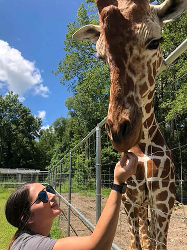 student caring for a giraffe