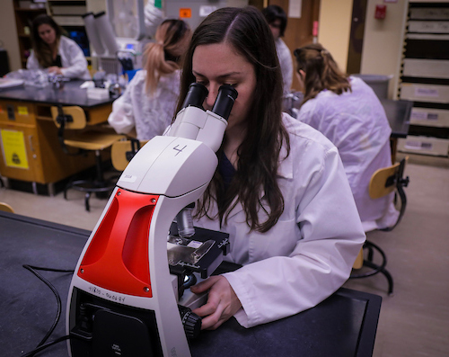 female student looking thru a microscope