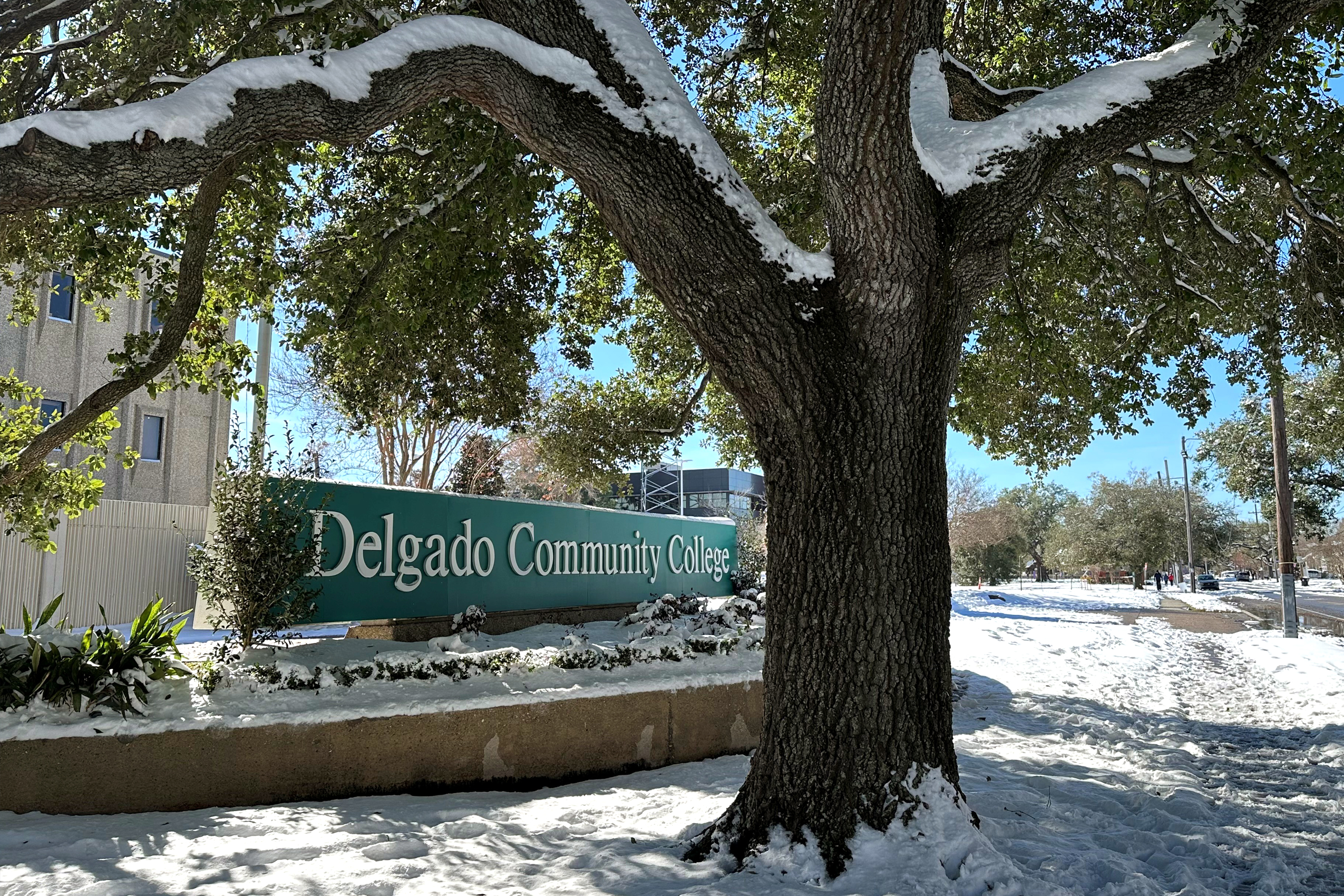 delgado city park campus with snow on the ground and on an oak tree