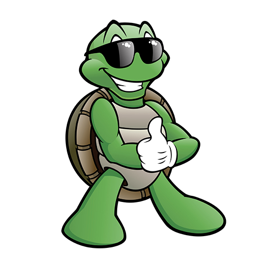 turtle with sunglasses